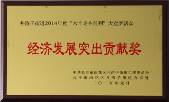 2014經濟發展突出貢獻獎